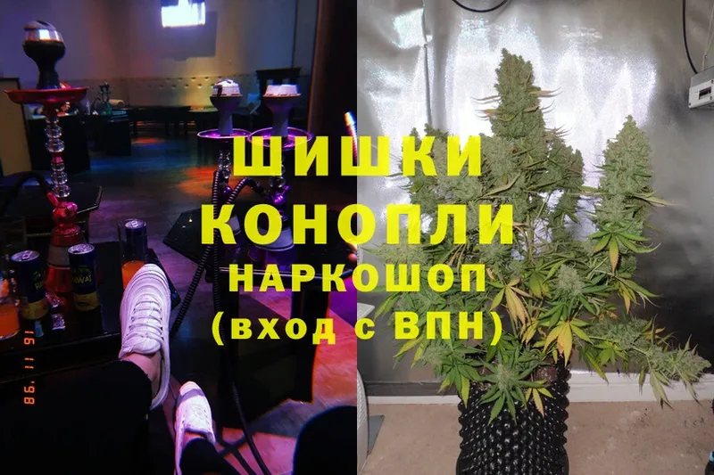 купить закладку  Краснознаменск  Бошки марихуана White Widow 